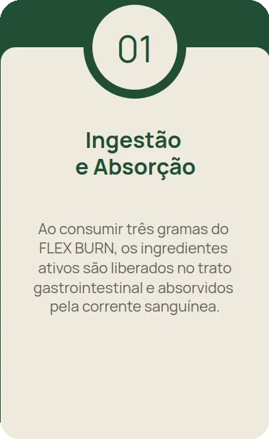 Imagem 1 carrossel-3