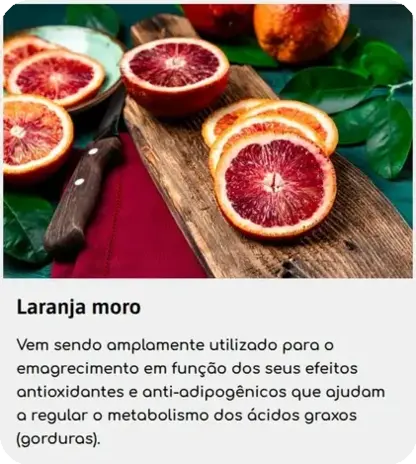 Imagem 1 carrossel-1