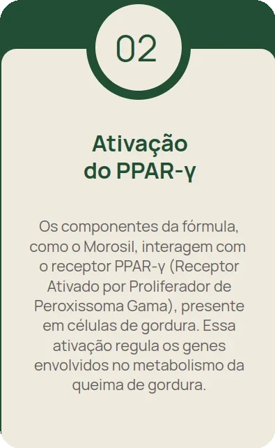 Imagem 2 carrossel-3