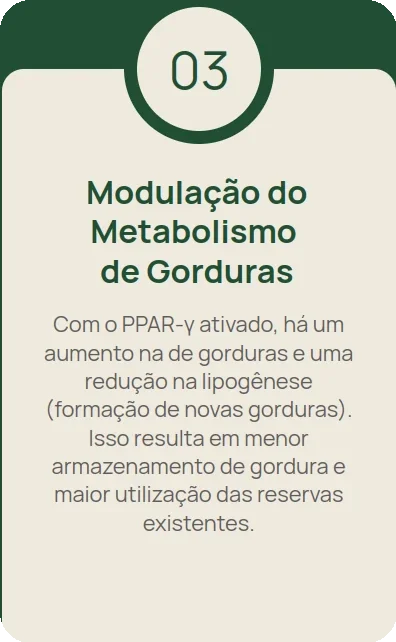Imagem 3 carrossel-3