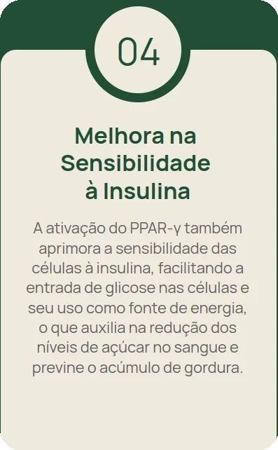 Imagem 4 carrossel-3