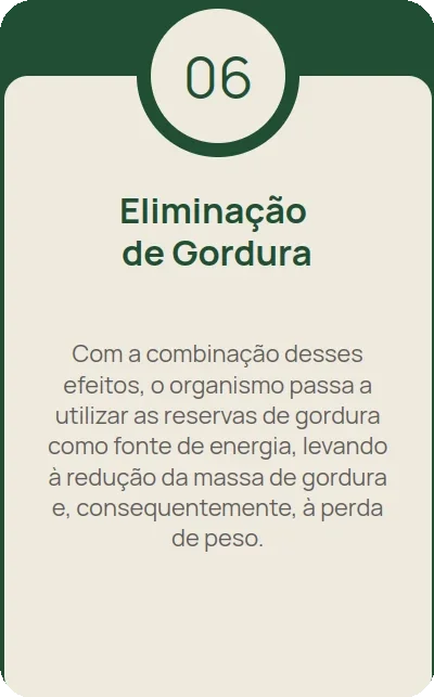 Imagem 6 carrossel-3