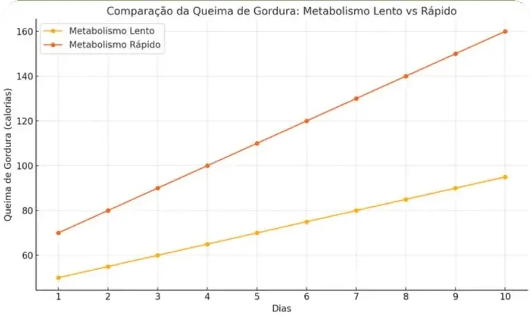 Imagem 7
