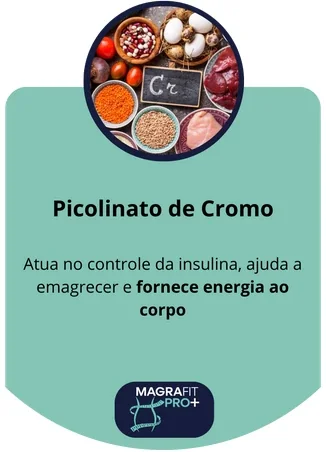 Imagem Magrafit Pro+ 10