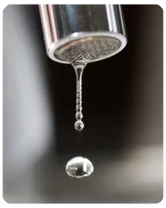Imagem 5