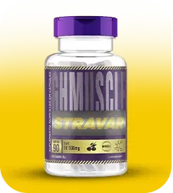 Oferta Stravar 1